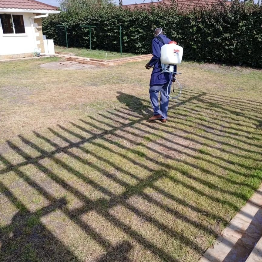 Fumigation Services in Nairobi