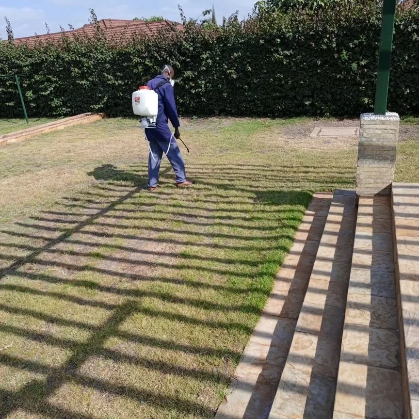 Fumigation Services in Nairobi