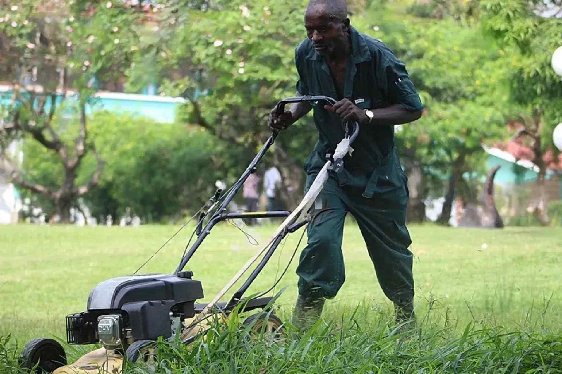 Gardening and Landscaping Services in Nairobi