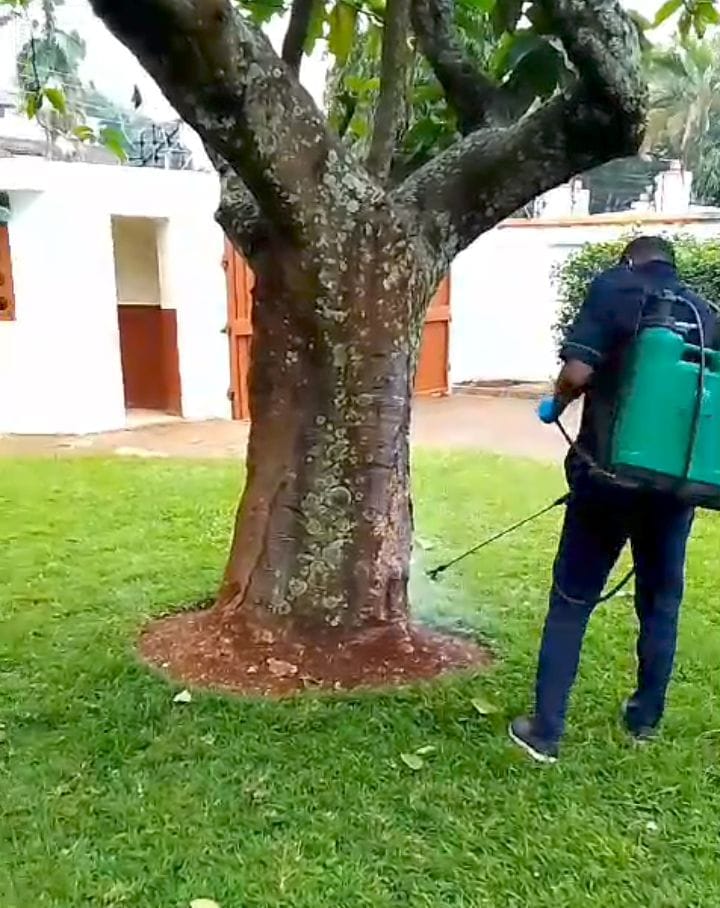 Fumigation Services in Nairobi