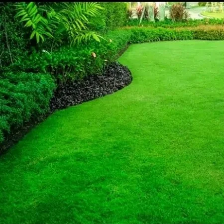 Gardening and Landscaping Services
